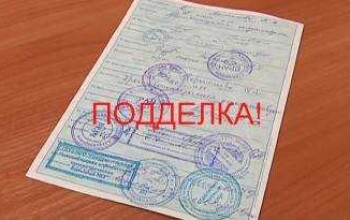 Подлинность мед. справки в ГАИ: как проверить?